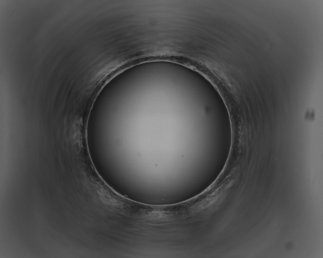 X0000095671265200801151056