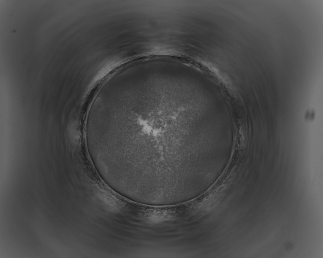 X0000095671266200801151056