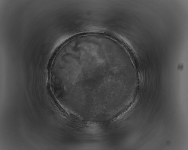 X0000095671267200801151056