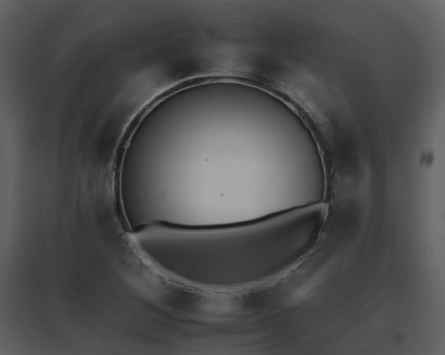 X0000095671268200801151056