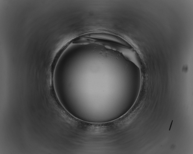 X0000095671269200801151056