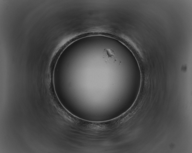 X0000095671270200801151056