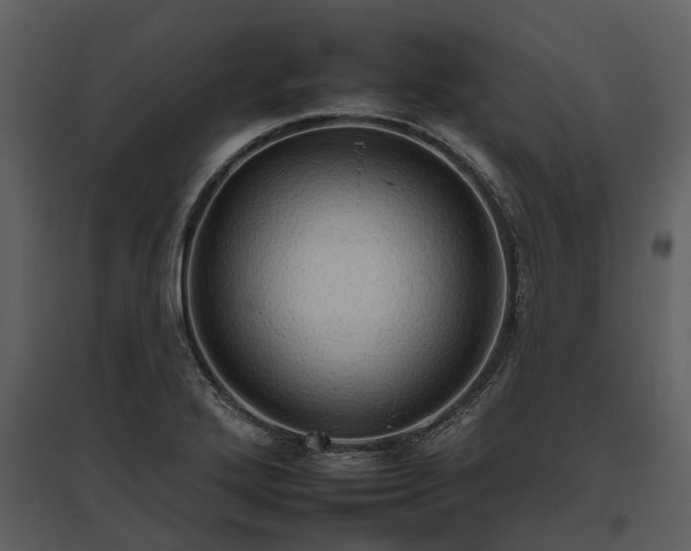 X0000095671272200801151056