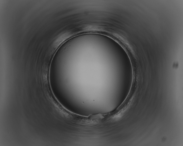 X0000095671273200801151056