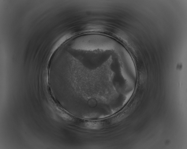 X0000095671274200801151056