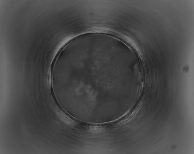 X0000095671275200801151056