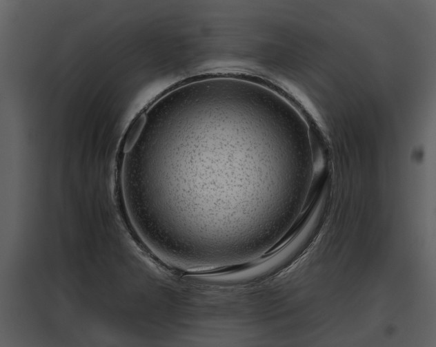 X0000095671277200801151056