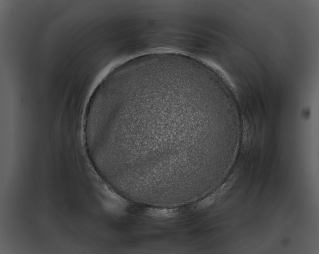 X0000095671278200801151056