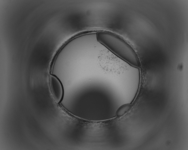 X0000095671279200801151056