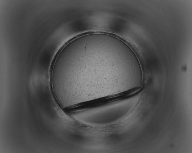 X0000095671280200801151056