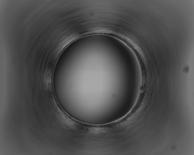 X0000095671281200801151056