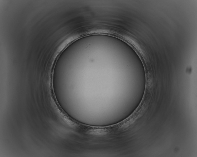 X0000095671282200801151055