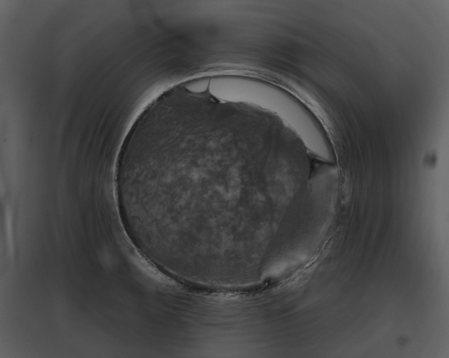 X0000095671283200801151055