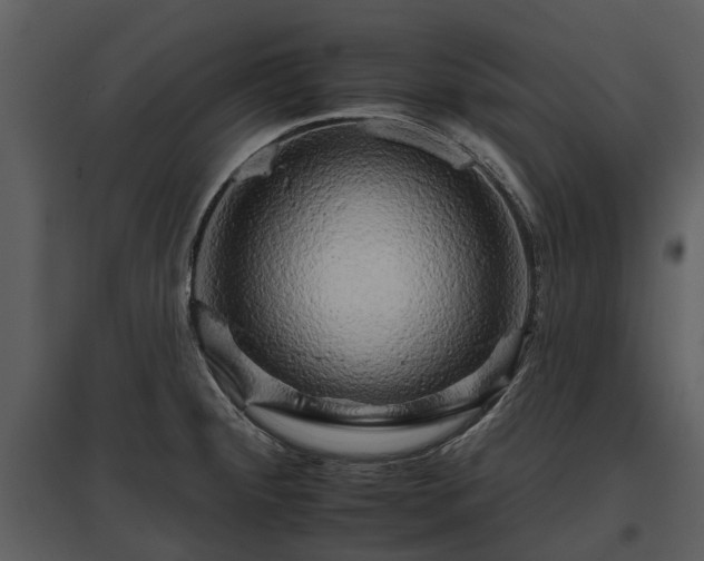 X0000095671284200801151055