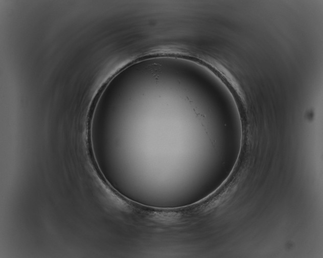 X0000095671285200801151055