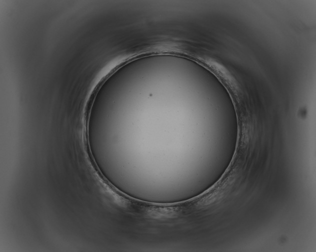 X0000095671286200801151055