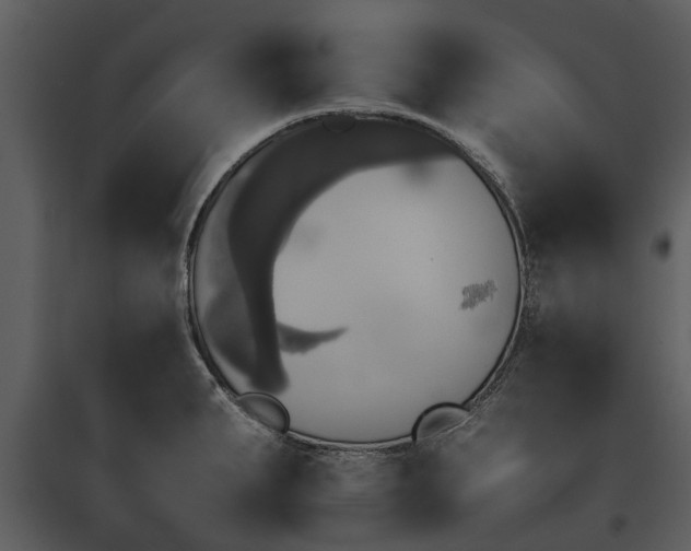 X0000095671287200801151055