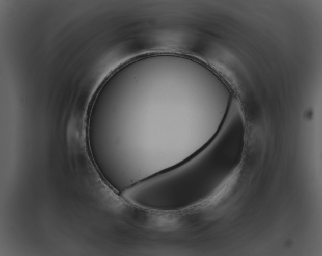 X0000095671288200801151055