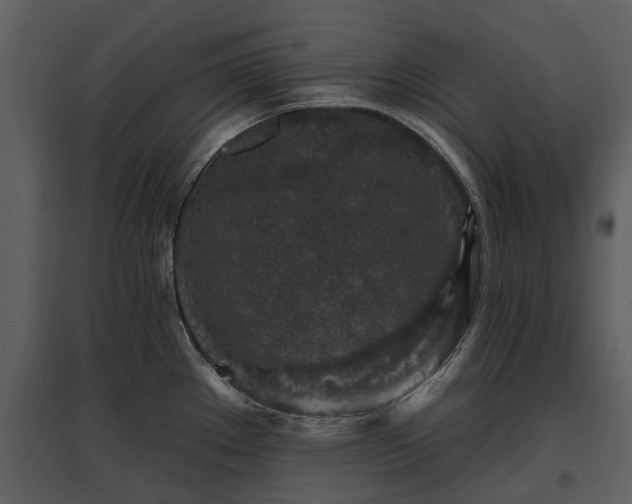 X0000095671289200801151055