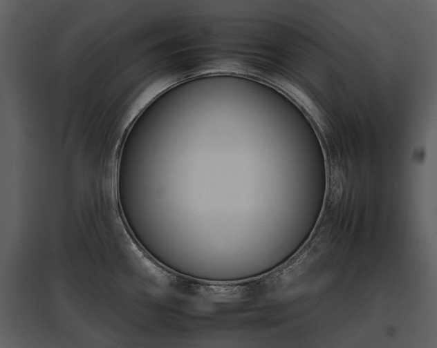 X0000095671290200801151055