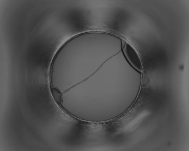 X0000095671291200801151055