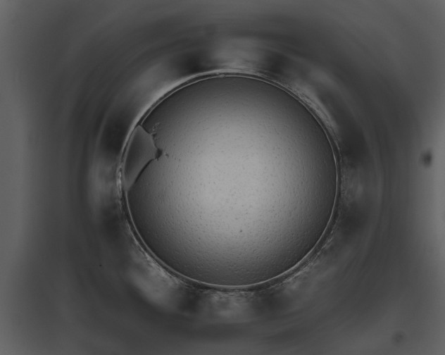 X0000095671292200801151055