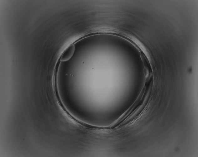 X0000095671293200801151055