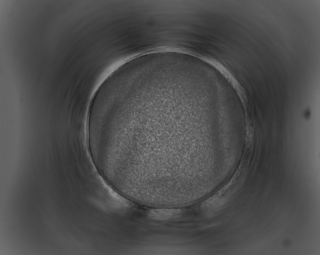 X0000095671294200801151055