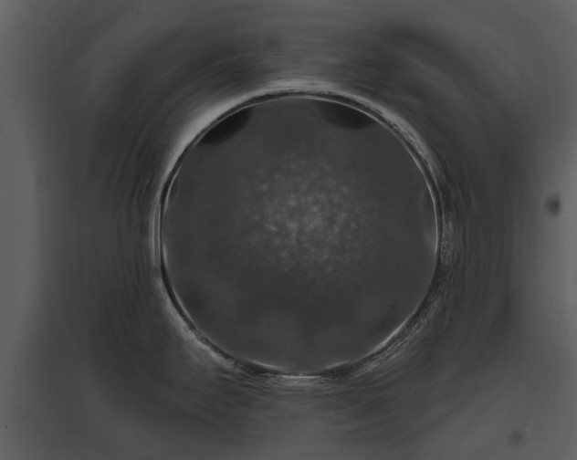 X0000095671295200801151055