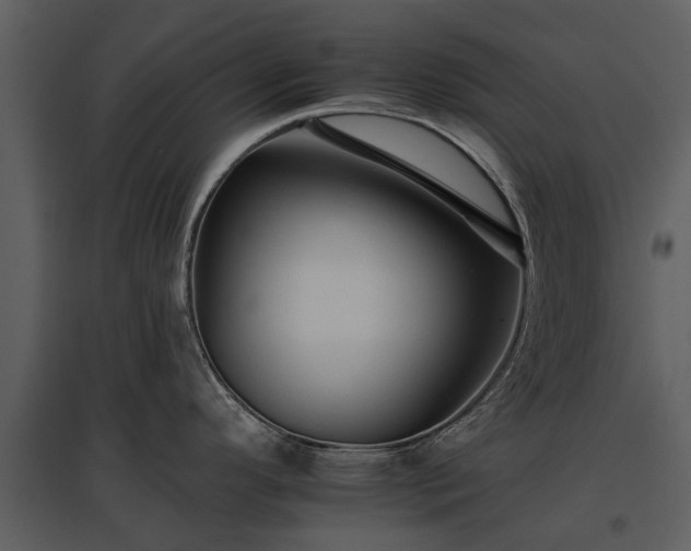 X0000095671296200801151055