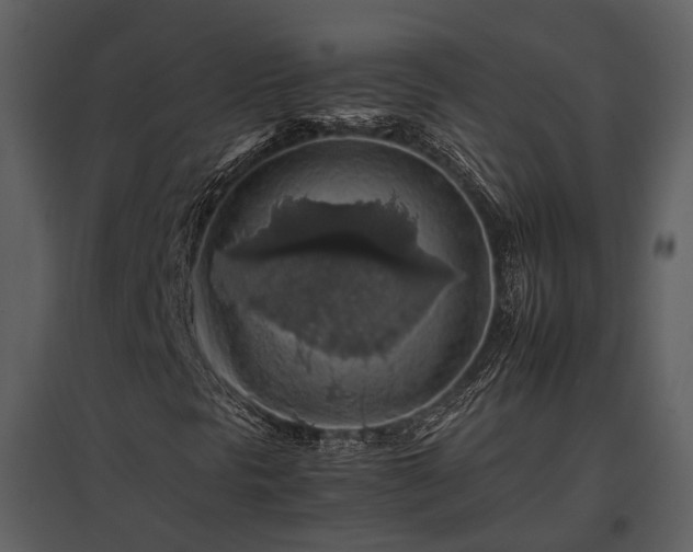 X0000095671297200801151055