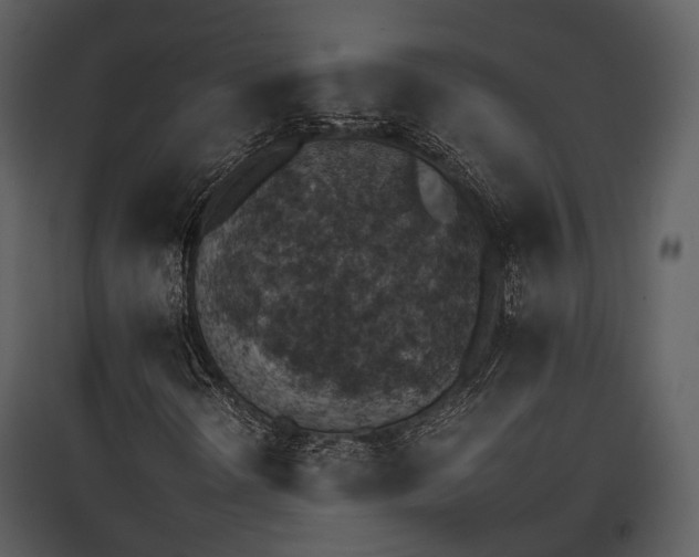 X0000095671298200801151055