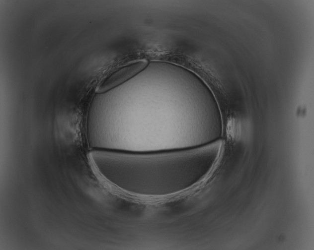 X0000095671299200801151055