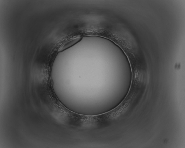 X0000095671300200801151055