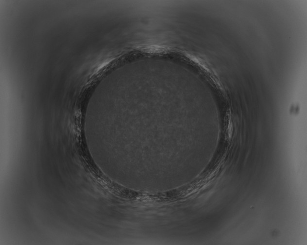 X0000095671301200801151055