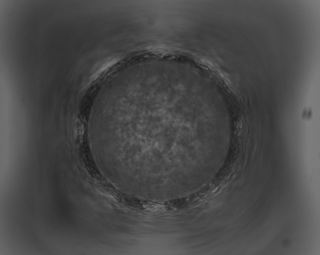 X0000095671302200801151055