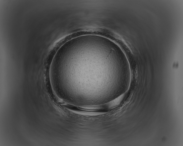 X0000095671304200801151055