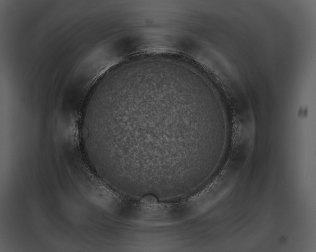 X0000095671305200801151055