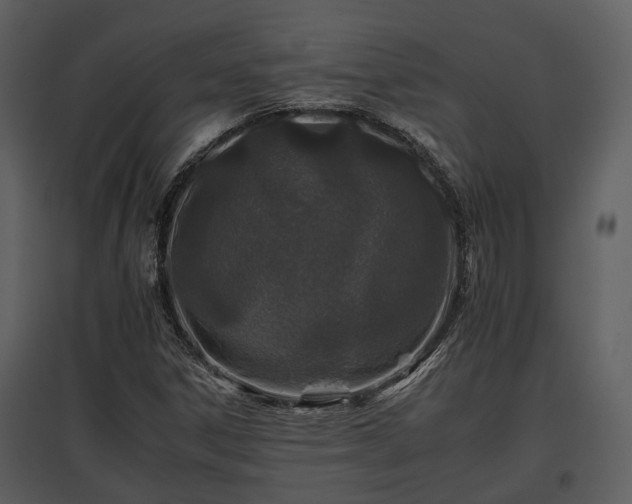 X0000095671306200801151055