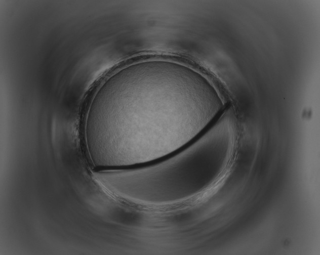 X0000095671307200801151055