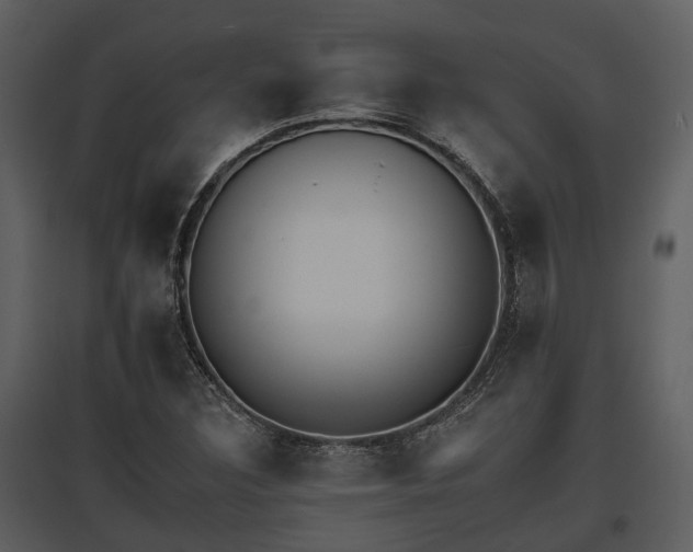 X0000095671308200801151055