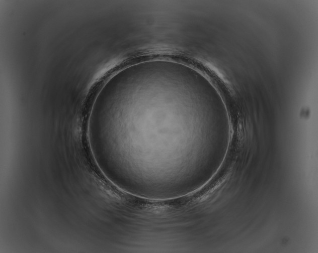 X0000095671309200801151055