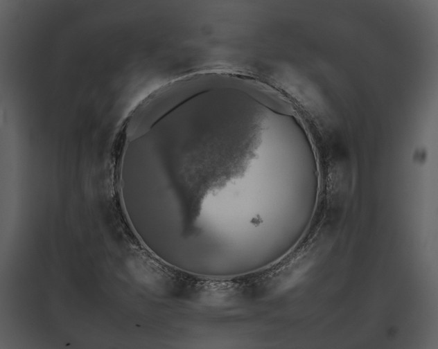 X0000095671310200801151055