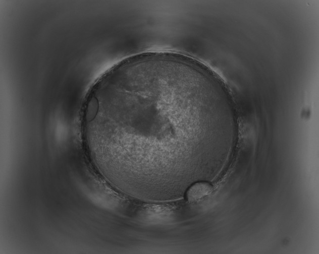 X0000095671311200801151055