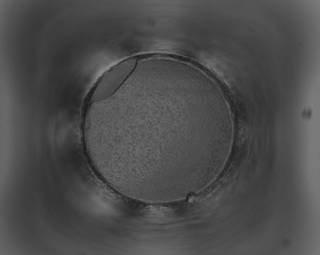 X0000095671312200801151055