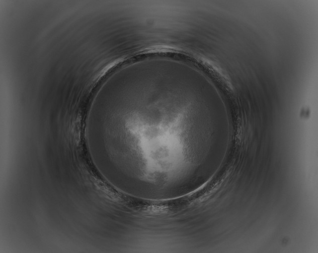 X0000095671313200801151055