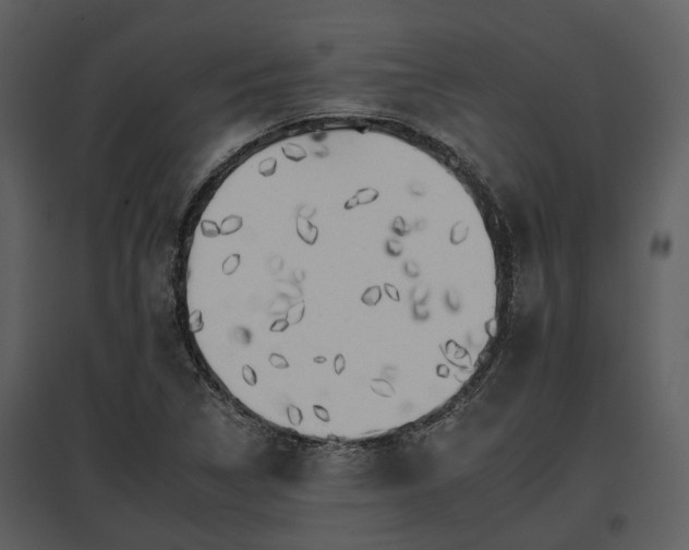 X0000095671314200801151055