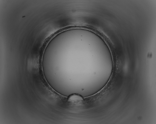 X0000095671315200801151055