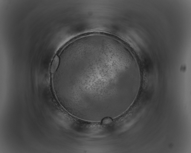 X0000095671316200801151055