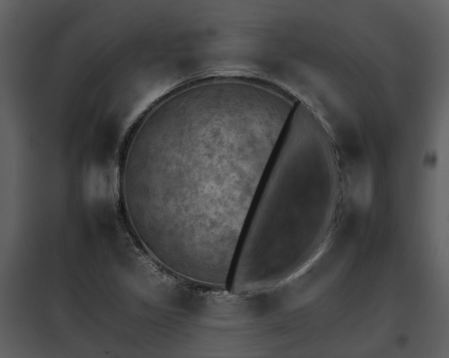 X0000095671317200801151055